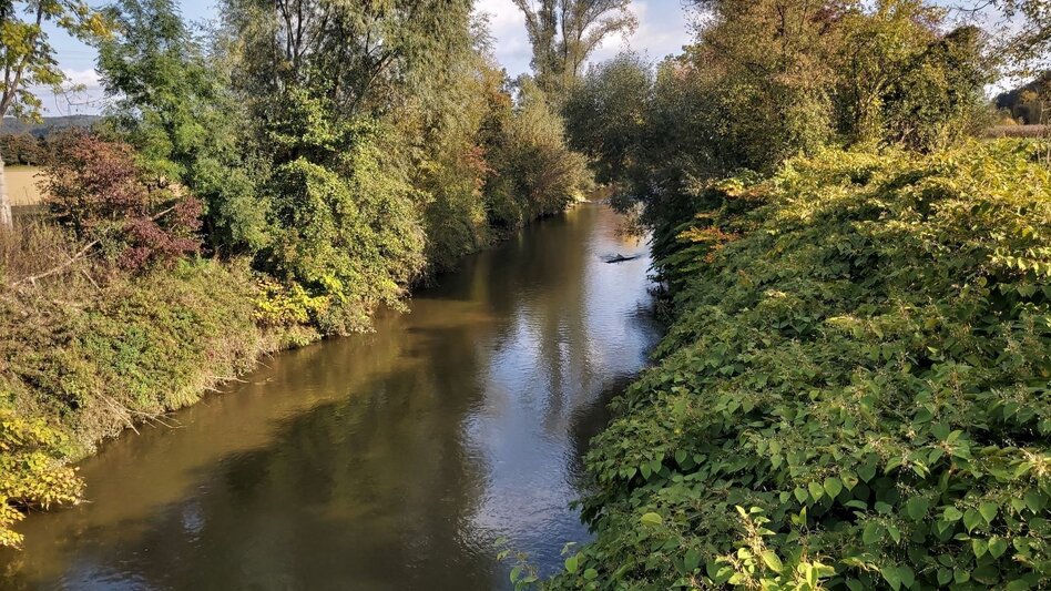 Bike Riding Sun tour, Gleisdorf - Touren-Impression #2.8 | © Oststeiermark Tourismus