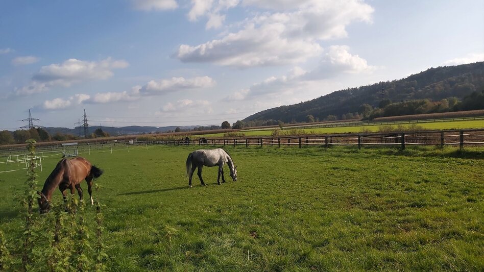 Bike Riding Sun tour, Gleisdorf - Touren-Impression #2.7 | © Oststeiermark Tourismus