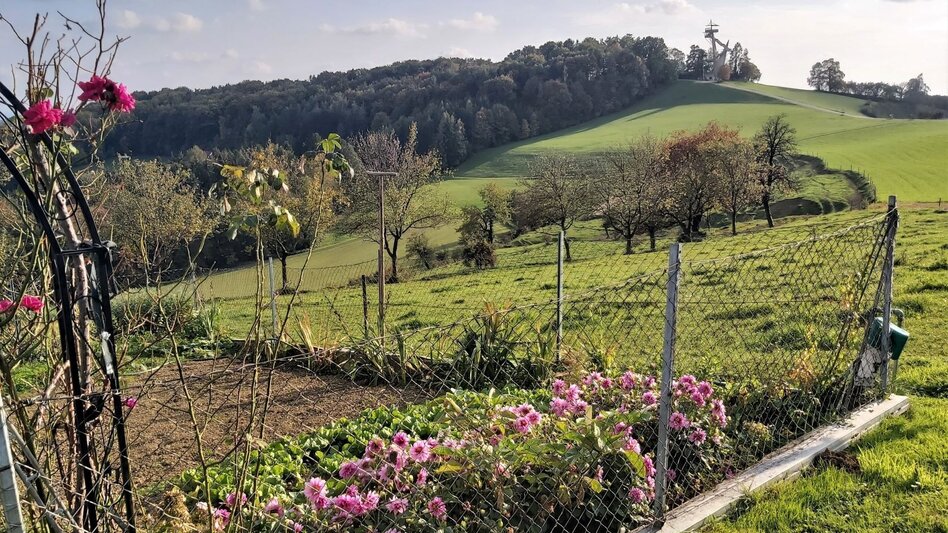 Bike Riding Sun tour, Gleisdorf - Touren-Impression #2.9 | © Oststeiermark Tourismus