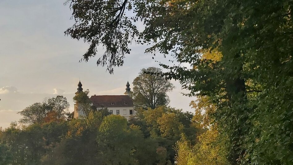 Bike Riding Sun tour, Gleisdorf - Touren-Impression #2.14 | © Oststeiermark Tourismus