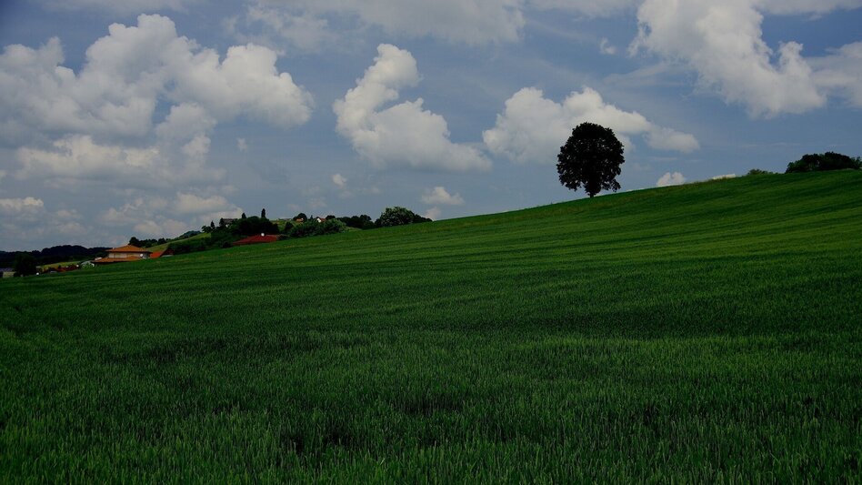 Bike Riding Raab valley and Neuhaus hills tour - B70 (Raabtal u. Neuhauser Hügelland) - Touren-Impression #2.2 | © Thermen- & Vulkanland