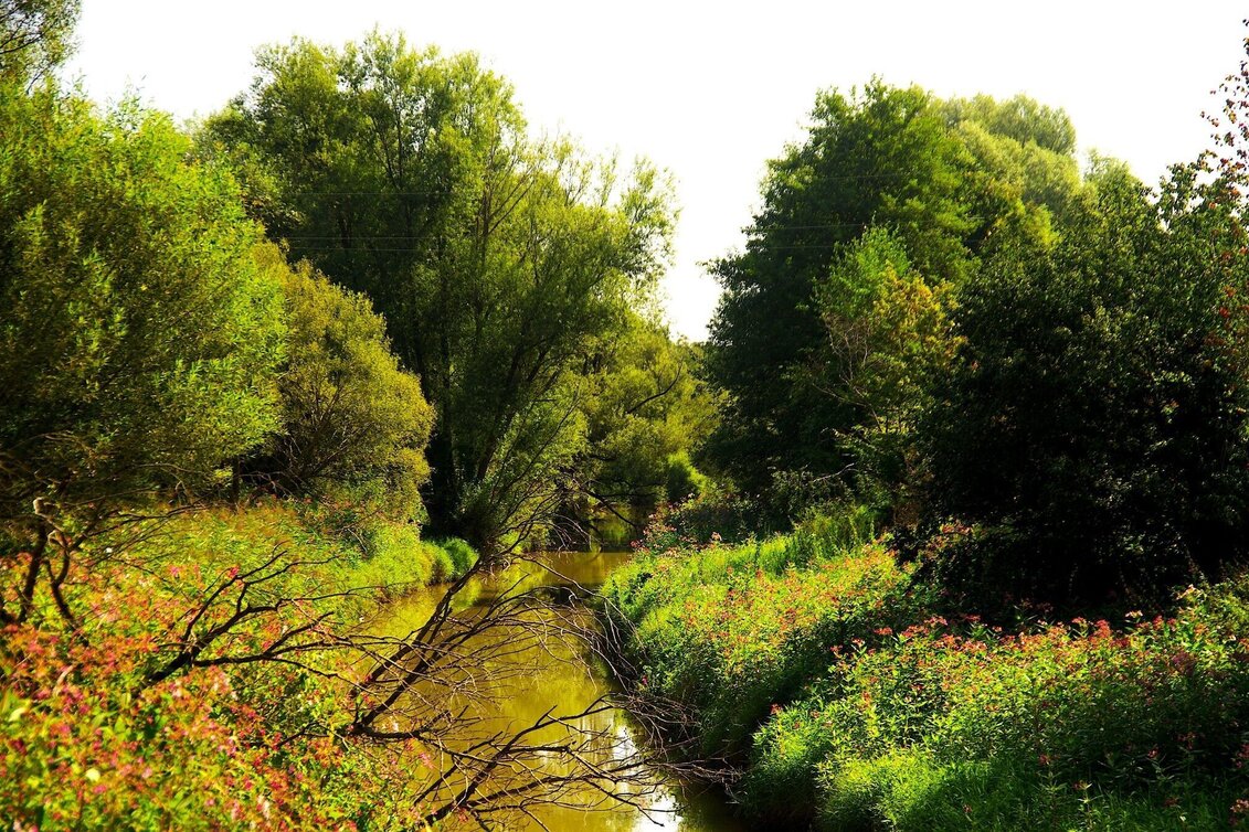 Bike Riding Uhudler bike trail - B72 (Uhudler-Radweg) - Touren-Impression #1 | © Erlebnisregion Thermen- & Vulkanland