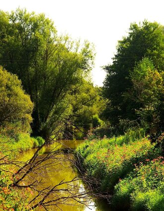 Flusslandschaft entlang des Radwegs | Jörg Liemandt | © Erlebnisregion Thermen- & Vulkanland