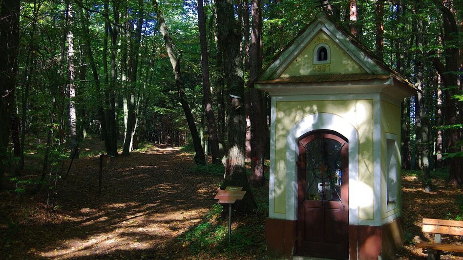 Theme path Crisscross path (Kreuz & Querpfad) - Long variant / Trail 9 - Touren-Impression #2.2 | © Erlebnisregion Thermen- & Vulkanland