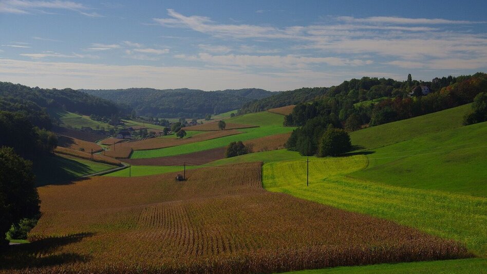 Theme path Crisscross path (Kreuz & Querpfad) - Long variant / Trail 9 - Touren-Impression #2.3 | © Erlebnisregion Thermen- & Vulkanland