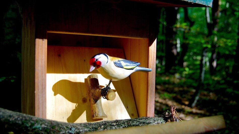 Theme path Crisscross path (Kreuz & Querpfad) - Long variant / Trail 9 - Touren-Impression #2.4 | © Thermen- & Vulkanland