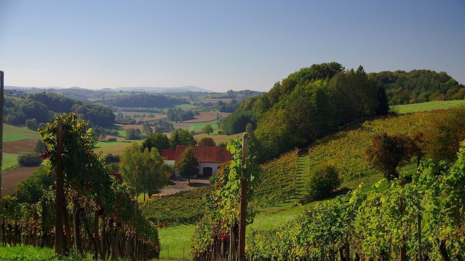 Theme path Crisscross path (Kreuz & Querpfad) - Long variant / Trail 9 - Touren-Impression #2.6 | © Thermen- & Vulkanland