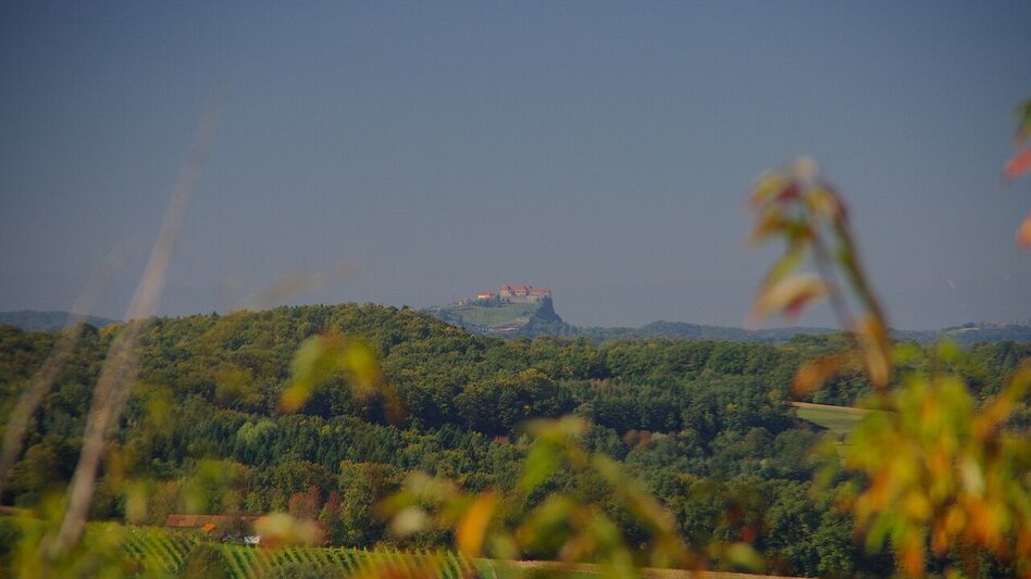 Theme path Crisscross path (Kreuz & Querpfad) - Long variant / Trail 9 - Touren-Impression #2.7 | © Erlebnisregion Thermen- & Vulkanland