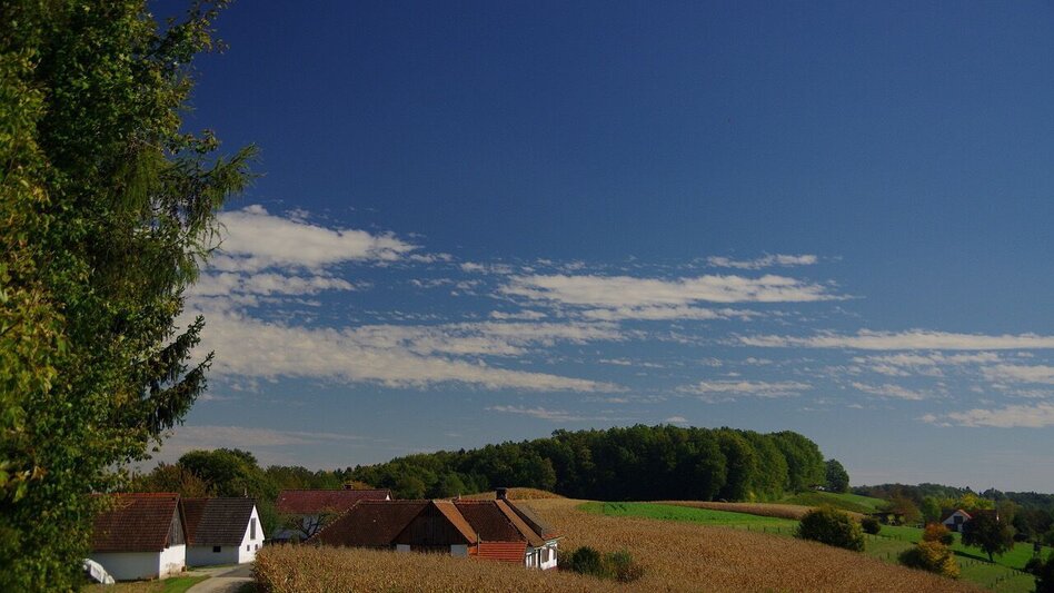 Theme path Crisscross path (Kreuz & Querpfad) - Long variant / Trail 9 - Touren-Impression #2.8 | © Thermen- & Vulkanland