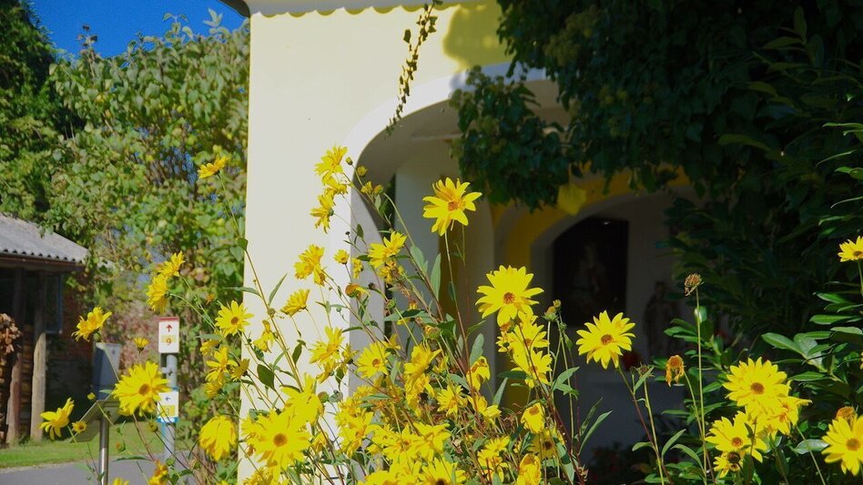 Theme path Crisscross path (Kreuz & Querpfad) - Long variant / Trail 9 - Touren-Impression #2.10 | © Thermen- & Vulkanland