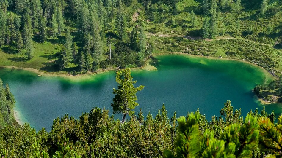 Wanderung Etappe 03 Vom Gletscher zum Wein Nordroute Stoderzinken - Bad Mitterndorf - Touren-Impression #2.5 | © (c) Steiermark Tourismus/Manfred Polansky