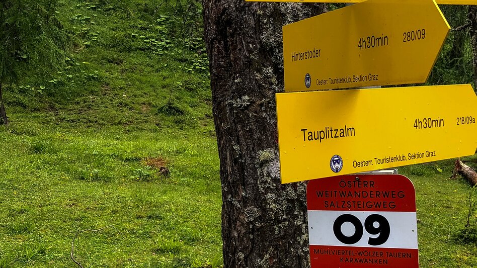 Wanderung Etappe 05 Vom Gletscher zum Wein Nordroute Tauplitzalm - Hochmölbinghütte - Touren-Impression #2.4 | © (c) Steiermark Tourismus/Manfred Polansky