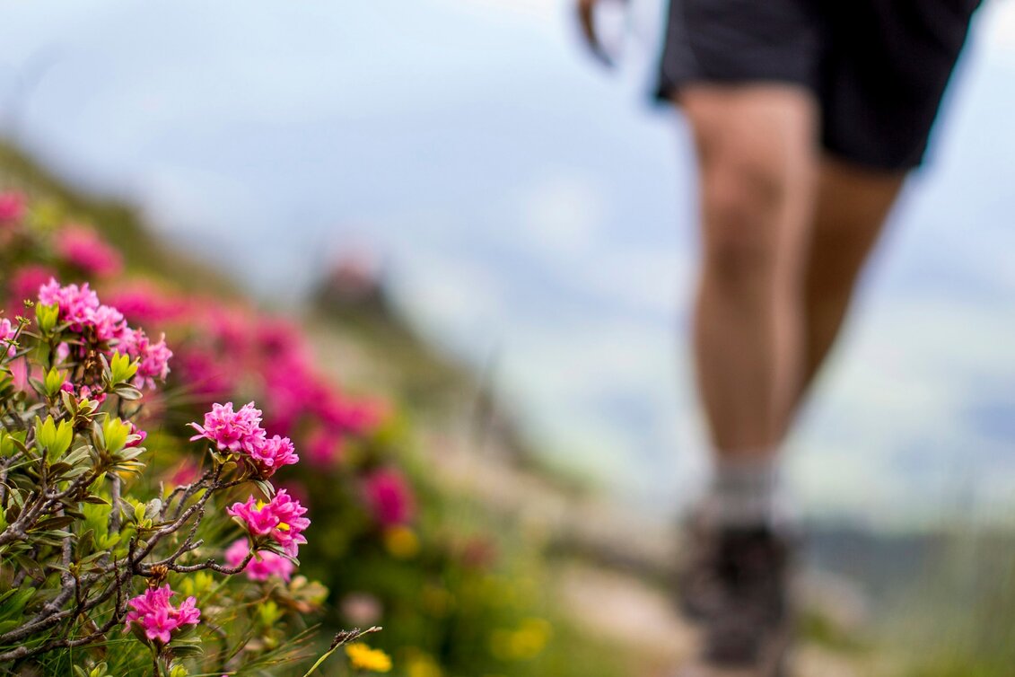 Wanderung Etappe 04 Vom Gletscher zum Wein Nordroute Variante Bad Mitterndorf - Tauplitzalm mit Tauplitz-Sesselbahn - Touren-Impression #1 | © Steiermark Tourismus/Tom Lamm