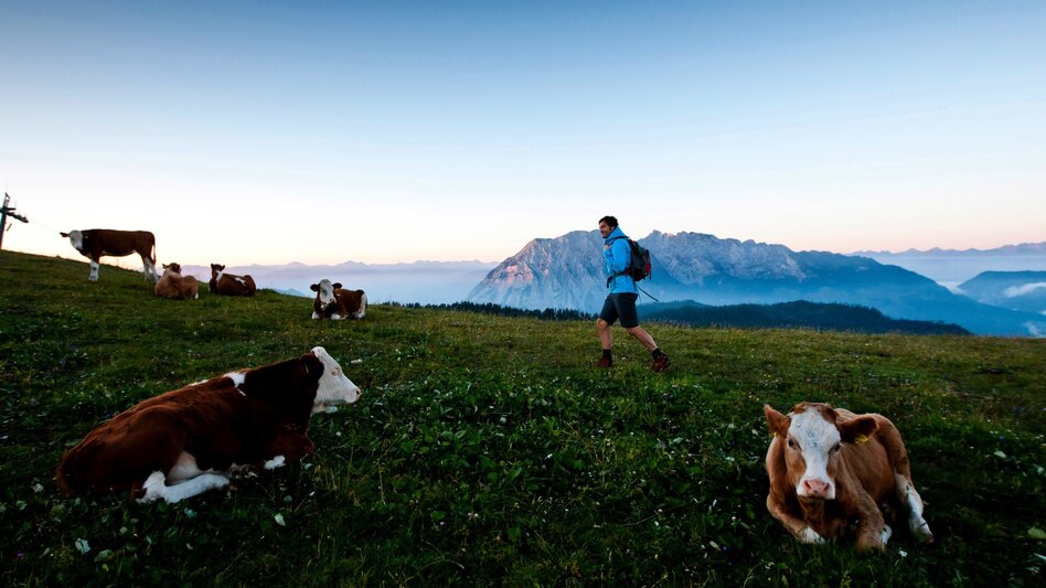 Wanderung Etappe 04 Vom Gletscher zum Wein Nordroute Variante Bad Mitterndorf - Tauplitzalm mit Tauplitz-Sesselbahn - Touren-Impression #2.6 | © (c)TV Ausseerland-Salzkammergut/Tom Lamm 