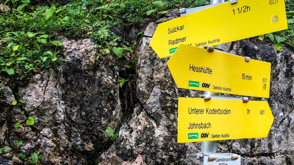 Wanderung Etappe 10 Vom Gletscher zum Wein Nordroute Gesäuse Mödlingerhütte - Hesshütte - Touren-Impression #2.3 | © (c) Steiermark Tourismus/Manfred Polansky