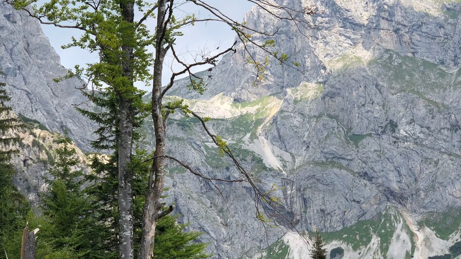 Wanderung Etappe 12 Vom Gletscher zum Wein Nordroute Radmer - Eisenerz - Touren-Impression #2.4 | © (c) Steiermark Tourismus/Manfred Polansky