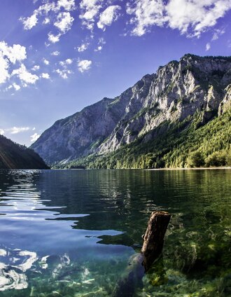 Am Leopoldsteinersee | Michael Weberberger | © Steiermark Tourismus/Michael Weberberger