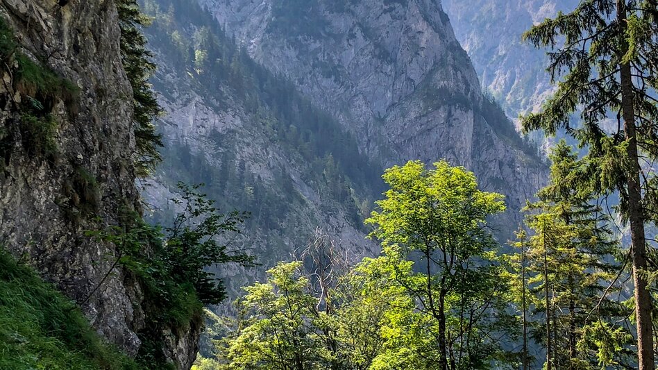 Wanderung Etappe 13 Vom Gletscher zum Wein Nordroute Eisenerz - Hochschwab Sonnschienalm - Touren-Impression #2.4 | © (c) Steiermark Tourismus/Manfred Polansky