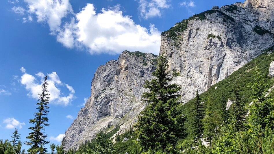 Wanderung Etappe 13 Vom Gletscher zum Wein Nordroute Eisenerz - Hochschwab Sonnschienalm - Touren-Impression #2.7 | © (c) Steiermark Tourismus/Manfred Polansky