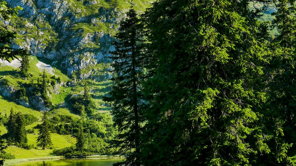 Wanderung Etappe 14 Vom Gletscher zum Wein Nordroute Hochschwab Sonnschienalm - Schiestlhaus - Touren-Impression #2.3 | © (c) Steiermark Tourismus/Manfred Polansky