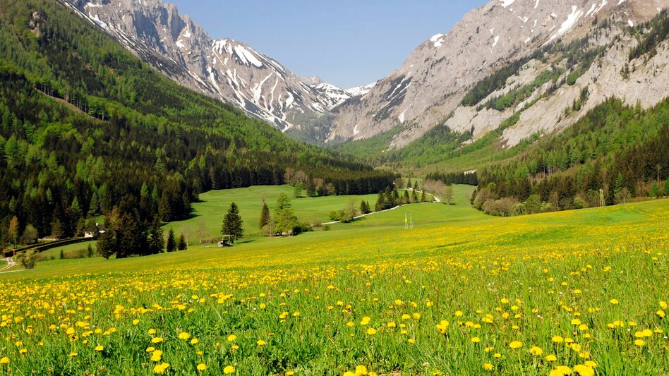 Wanderung Etappe 16 Vom Gletscher zum Wein Nordroute Seewiesen - Veitsch Graf Meran Haus - Touren-Impression #2.1 | © Steiermark Tourismus/Gery Wolf