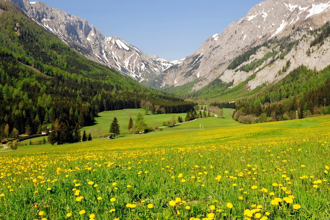Wanderung Etappe 16 Vom Gletscher zum Wein Nordroute Seewiesen - Veitsch Graf Meran Haus - Touren-Impression #1 | © Steiermark Tourismus/Gery Wolf