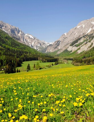 Blick beim Start von Seewiesen zurück ins Hochschwabmassiv | Gery Wolf | © Steiermark Tourismus/Gery Wolf