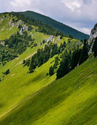 Die grüne Steiermark in den Mürzsteger Alpen | Manfred Polansky | © (c) Steiermark Tourismus/Manfred Polansky