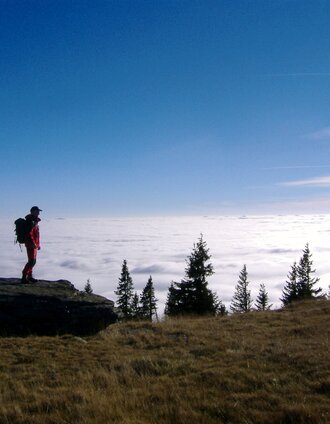 Herbststimmung in den Fischbacher Alpen | Andreas Steininger | © Steiermark Tourismus/Andreas Steininger