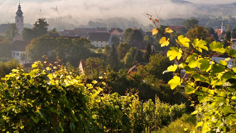 Wanderung Etappe 27 Vom Gletscher zum Wein Nordroute Pöllau - Hartberg - Touren-Impression #2.6 | © (c) TV Hartbergerland/Bernhard Bergmann