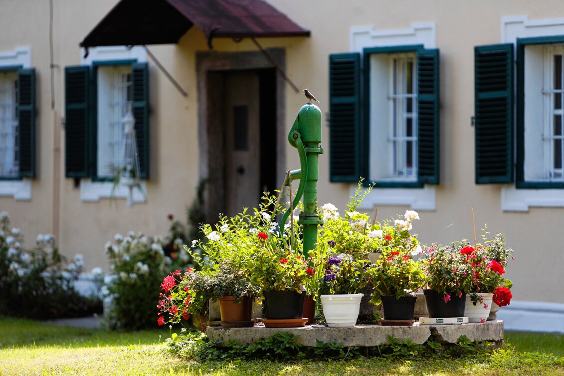 Wanderung Etappe 28 Vom Gletscher zum Wein Nordroute Hartberg - Bad Waltersdorf - Touren-Impression #1 | © TV Bad Waltersdorf/Bernhard Bergmann
