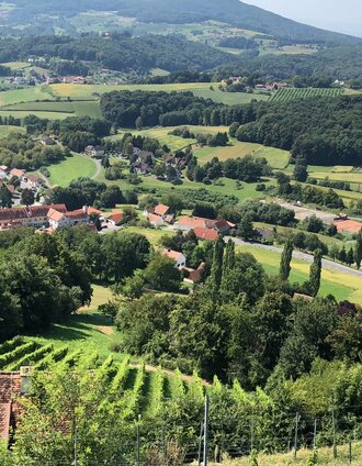 Blick vom Schloss Kapfenstein | Manfred Polansky | © (c) Steiermark Tourismus/Manfred Polansky
