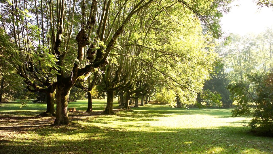 Wanderung Etappe 33 Vom Gletscher zum Wein Nordroute Fehring - Bad Gleichenberg - Touren-Impression #2.7 | © TVB Thermen- & Vulkanland