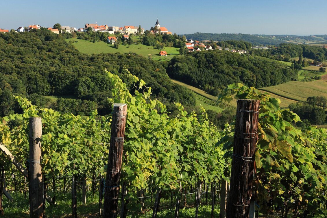 Wanderung Etappe 35 Vom Gletscher zum Wein Nordroute Klöch - Bad Radkersburg - Touren-Impression #1 | © Vino Cool/Harry Schiffer