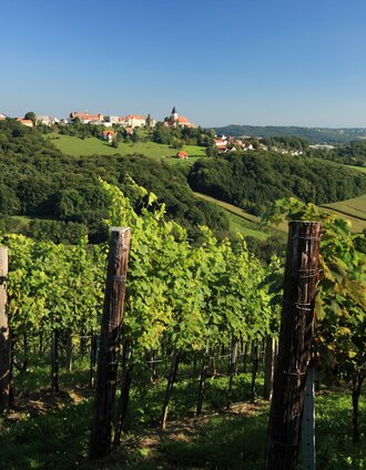 Die Weingärten bei Klöch | Vino Cool/Harry Schiffer | © Vino Cool/Harry Schiffer