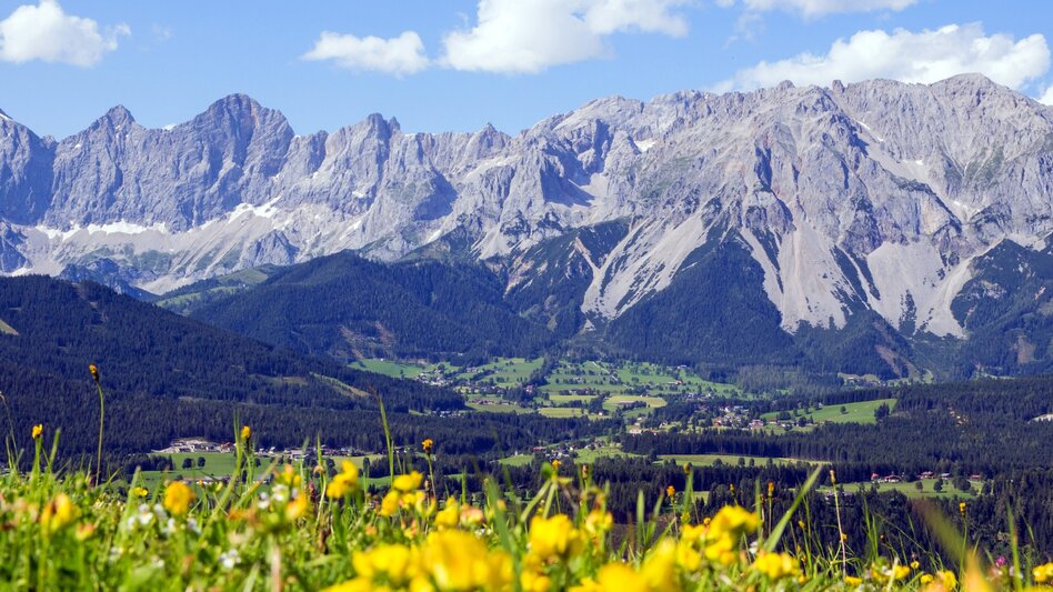 Hiking route Stage 02 From Glacier to Wine South Route Guttenberghaus - Rohrmoos - Touren-Impression #2.1 | © (c) Steiermark Tourismus