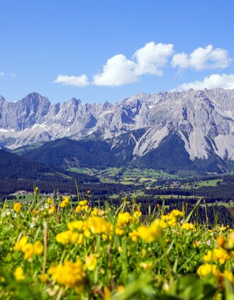 Blick zurück auf den Dachstein | © (c) Steiermark Tourismus