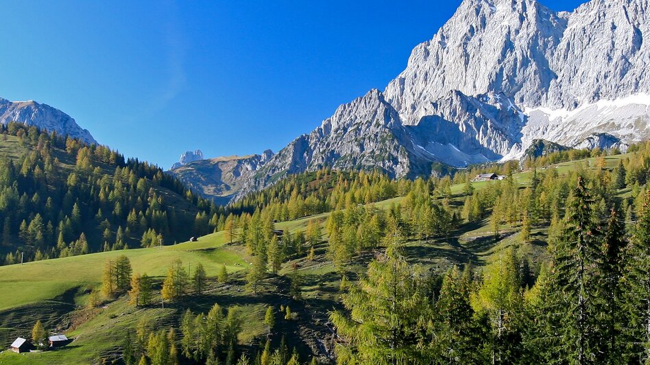 Hiking route Stage 02 From Glacier to Wine South Route Guttenberghaus - Rohrmoos - Touren-Impression #2.3 | © Steiermark Tourismus/Herbert Raffalt