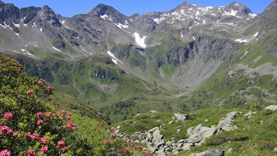 Hiking route Stage 05 From Glacier to Wine South Route Keinprechthütte - Gollinghütte - Touren-Impression #2.1 | © (c) TV Schladming-Dachstein/Martin Huber