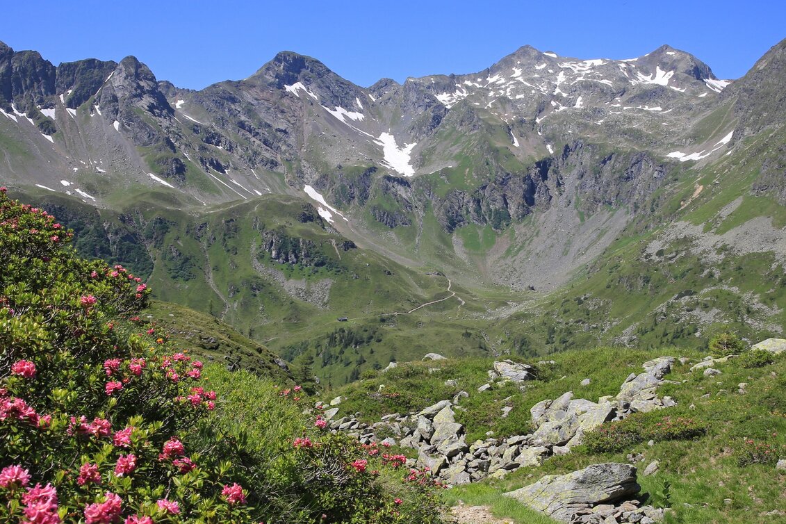 Hiking route Stage 05 From Glacier to Wine South Route Keinprechthütte - Gollinghütte - Touren-Impression #1 | © (c) TV Schladming-Dachstein/Martin Huber