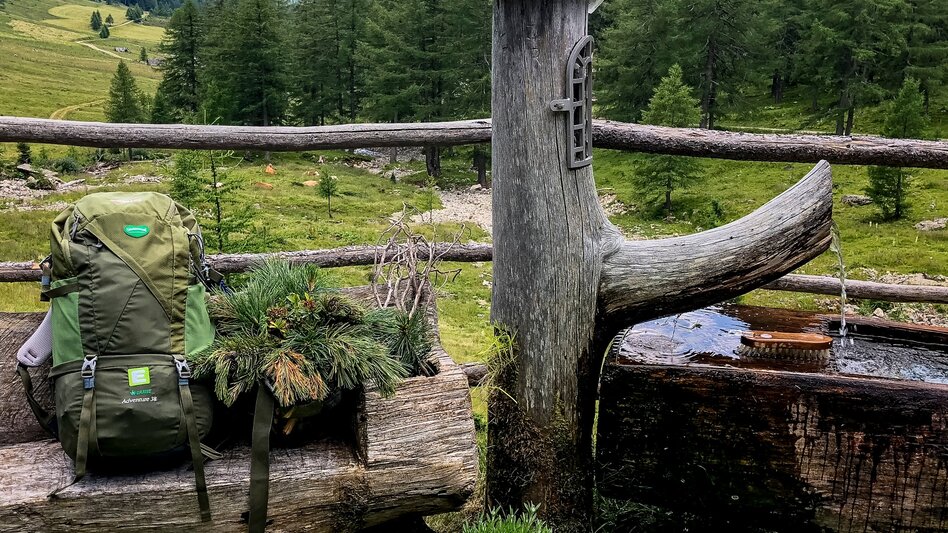 Hiking route Stage 05 From Glacier to Wine South Route Keinprechthütte - Gollinghütte - Touren-Impression #2.5 | © Steiermark Tourismus/Martina Traisch