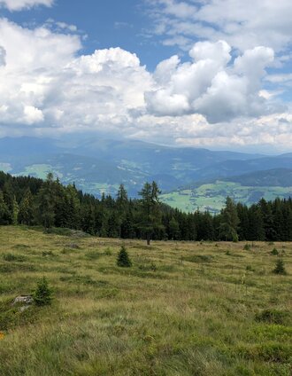 Blick Richtung Murtal | Martina Traisch | © Steiermark Tourismus/Martina Traisch