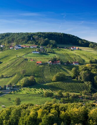 Blick von der Aussichtswarte am Rosenberg | © (c) Steiermark Tourismus