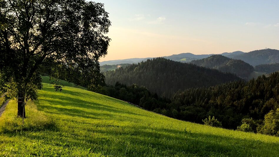 Wanderung Etappe 12 Vom Gletscher zum Wein Südroute St. Lambrecht - Neumarkt - Touren-Impression #2.4 | © (c) Steiermark Tourismus/Martina Traisch