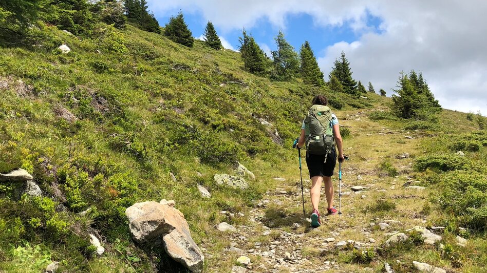 Wanderung Etappe 15 Vom Gletscher zum Wein Südroute Obdach - Salzstiegl - Touren-Impression #2.6 | © (c) Steiermark Tourismus/Martina Traisch