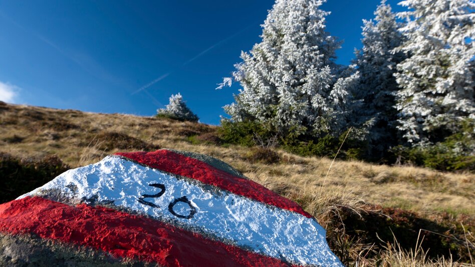 Hiking route Stage 17 From Glacier to Wine South Route Pack - Weinebene - Touren-Impression #2.1 | © (c) Steiermark Tourismus/Harry Schiffer