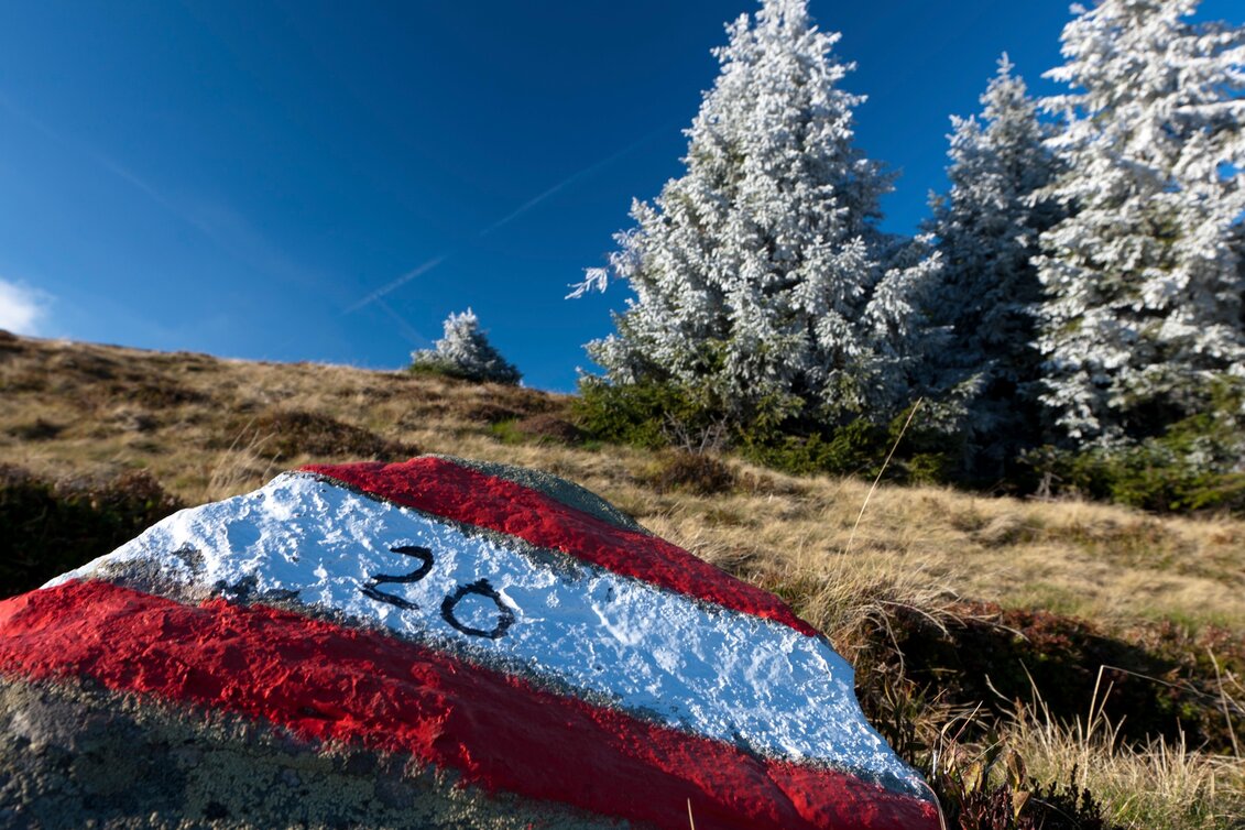 Hiking route Stage 17 From Glacier to Wine South Route Pack - Weinebene - Touren-Impression #1 | © (c) Steiermark Tourismus/Harry Schiffer
