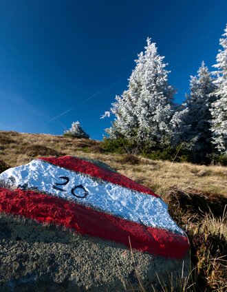 Eine perfekte Wegmarkierung als Wegbegleiter | Harry Schiffer | © (c) Steiermark Tourismus/Harry Schiffer