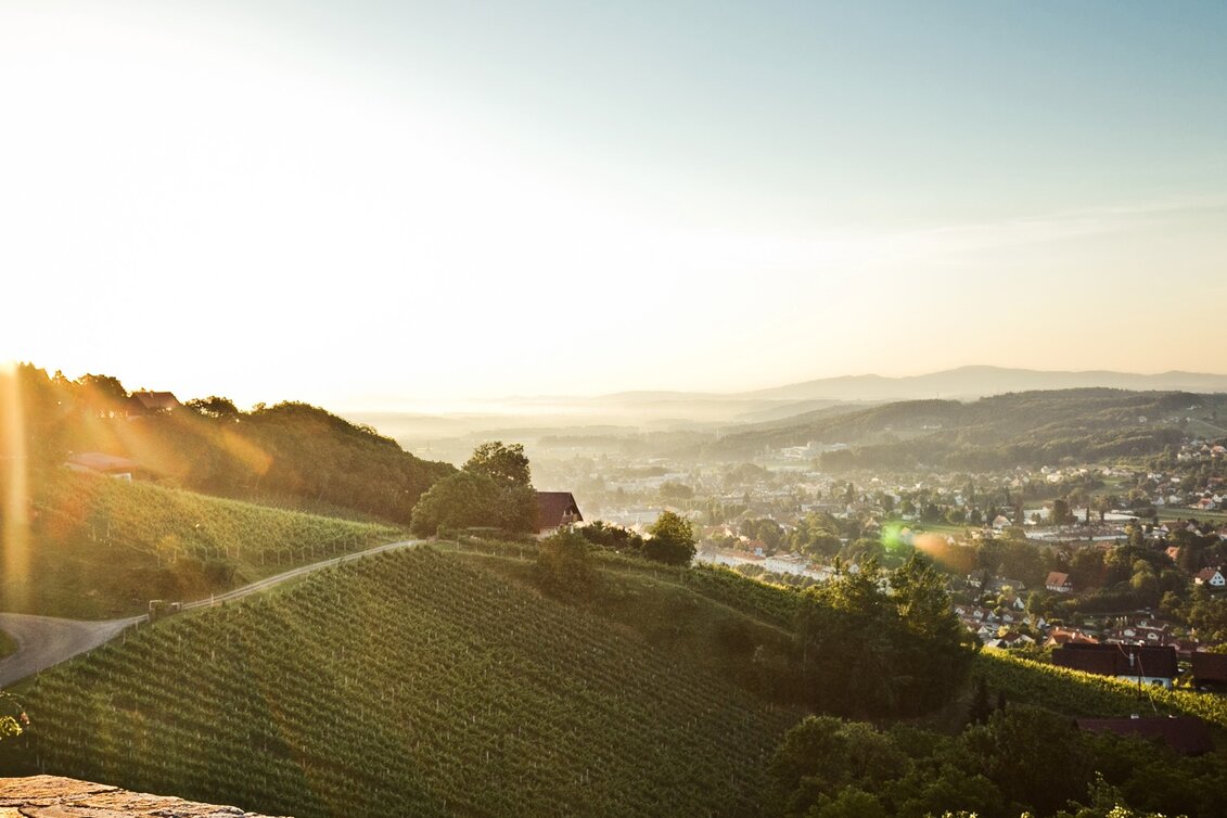 Wanderung Etappe 18 Vom Gletscher zum Wein Südroute Weinebene - Deutschlandsberg - Touren-Impression #1 | © Lupi Spuma