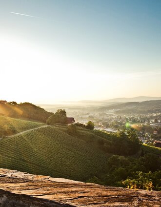 Blick von der Burg Deutschlandsberg auf die Schilcherweingärten und auf die Schilcherhauptstadt Deutschlandsberg | Brigitte Kügerl | © Lupi Spuma